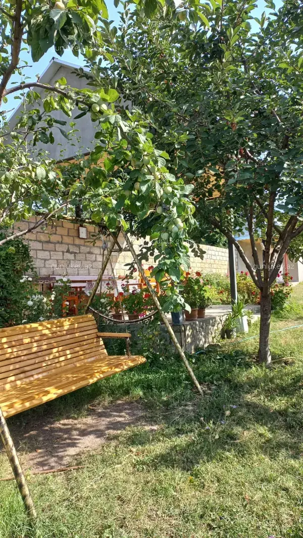 house image