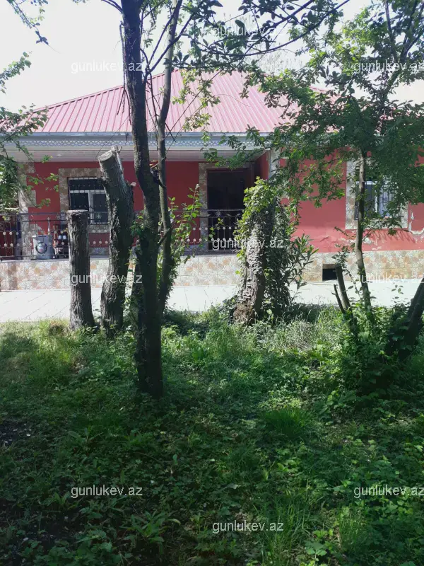 house image
