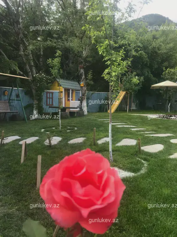 house image